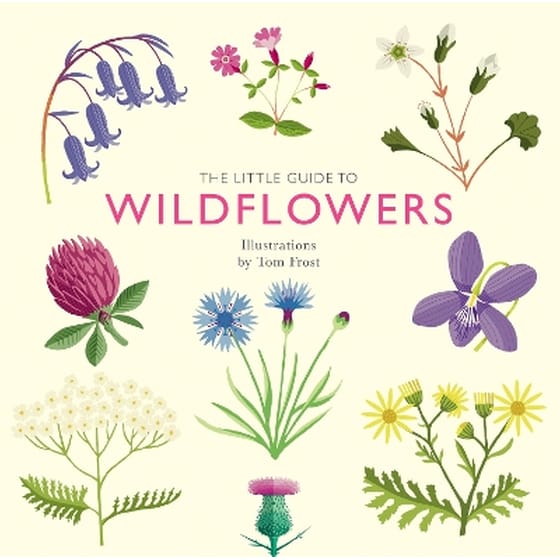 The Little Guide to Wildflowers image 0