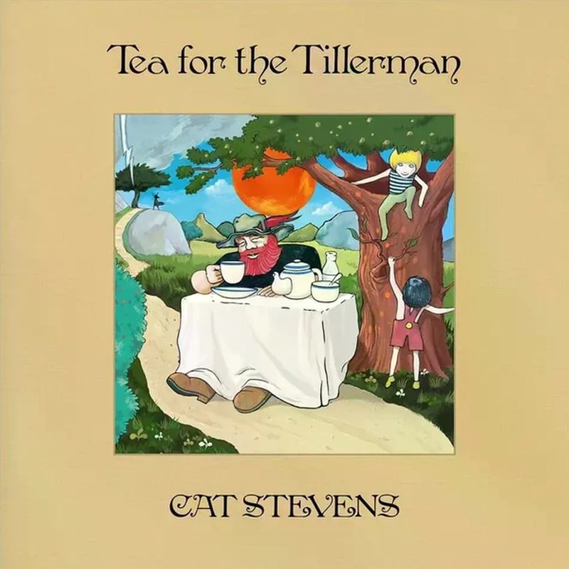 Tea For The Tillerman (2 CD)