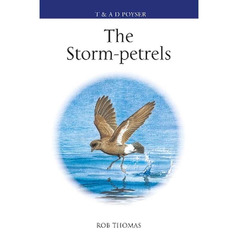 The Storm-petrels