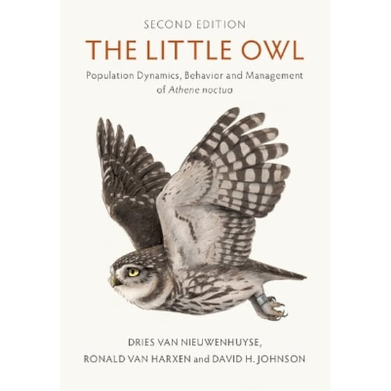 The Little Owl image 0