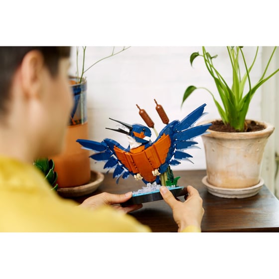 LEGO® Icons Kingfisher Bird (10331) image 14