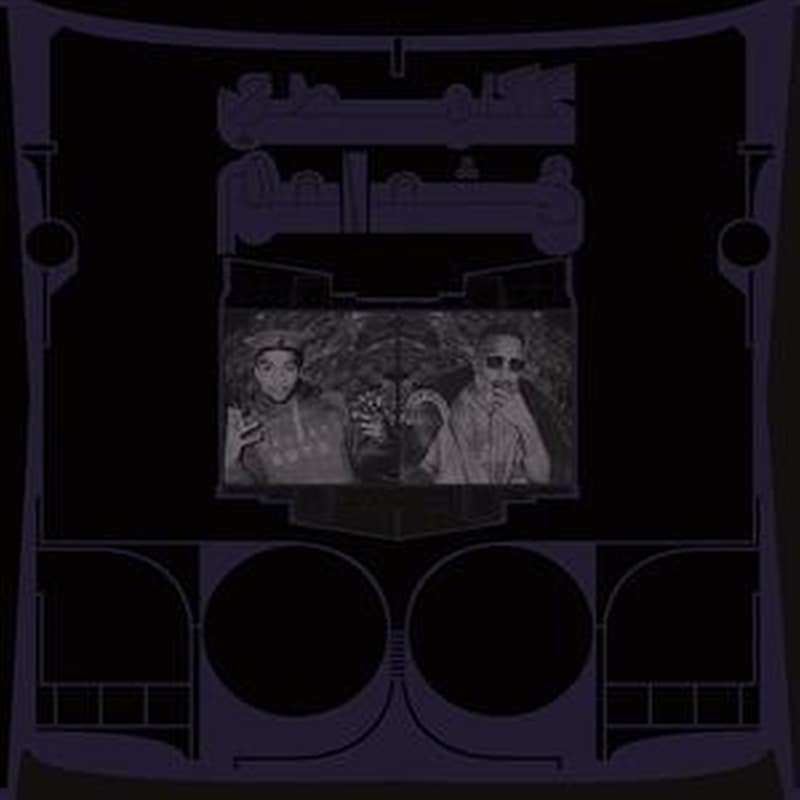 Exotic Birds Of Prey