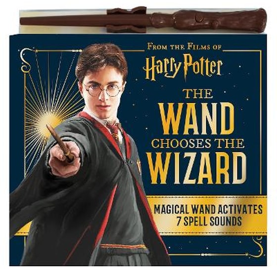 The Wand Chooses the Wizard image 0