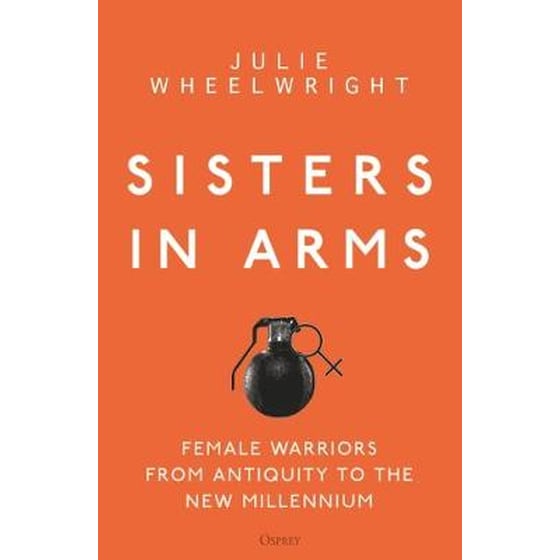 Sisters in Arms image 0