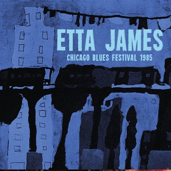 Chicago Blues Festival image 0