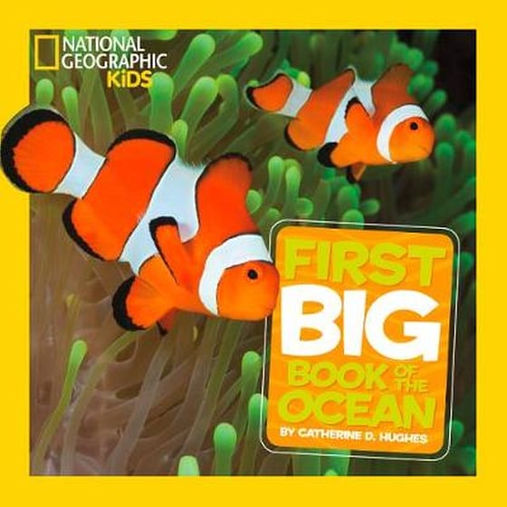 Little Kids First Big Book of The Ocean image 0