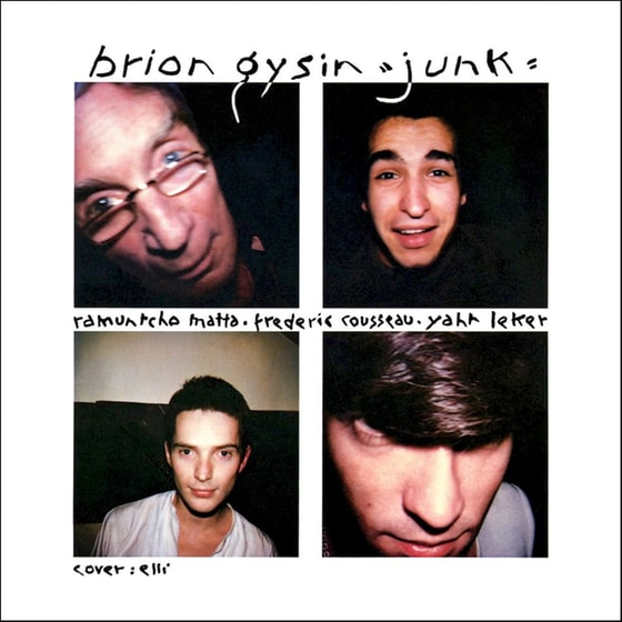 Junk (LP) image 0