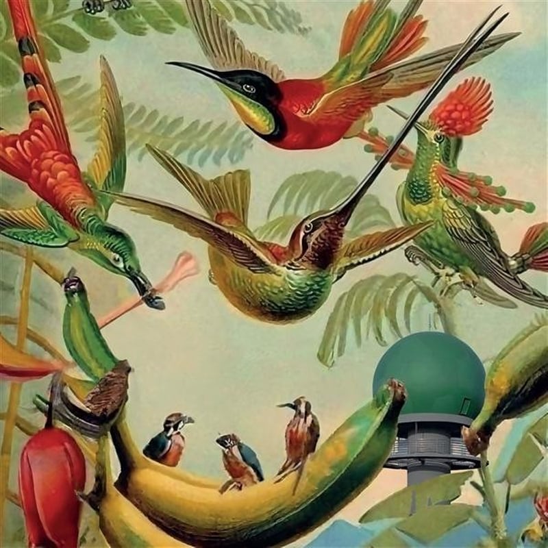 Radar Keroxen Volume 4