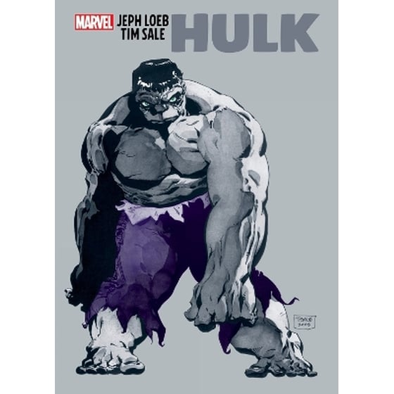 Jeph Loeb & Tim Sale: Hulk Gallery Edition image 0