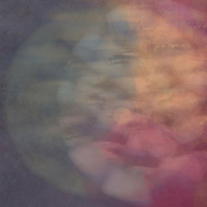 Cryptophasia (LP Orange)