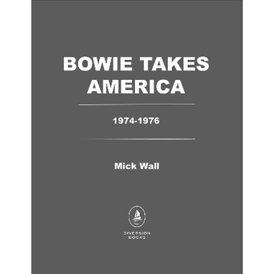 Bowie Takes America image 0