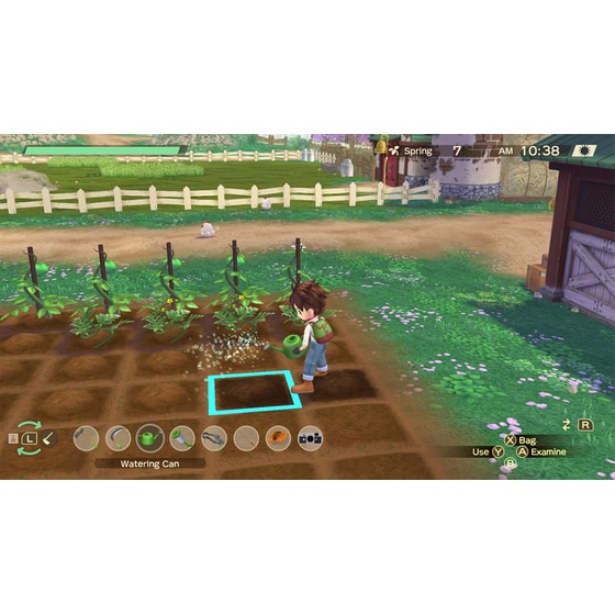 Story of Seasons: A Wonderful Life Limited Edition - Nintendo Switch image 3