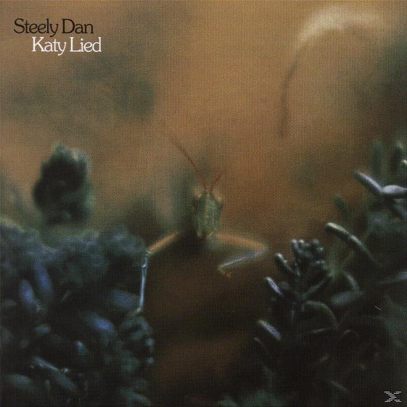 Katy Lied