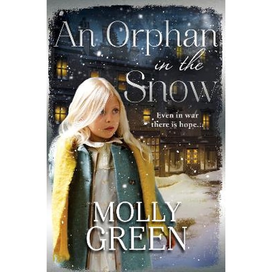 An Orphan in the Snow image 0