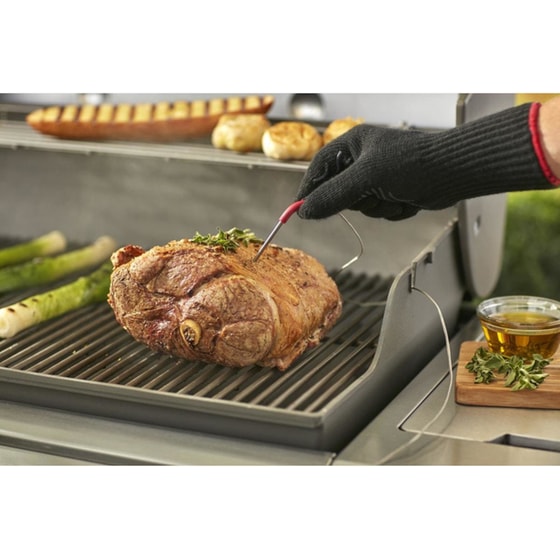 Θερμόμετρο WEBER W7205 3 iGrill image 5