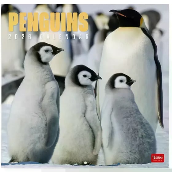 Ημερολόγιο Τοίχου Legami 2026 Penguins 30x29cm image 0