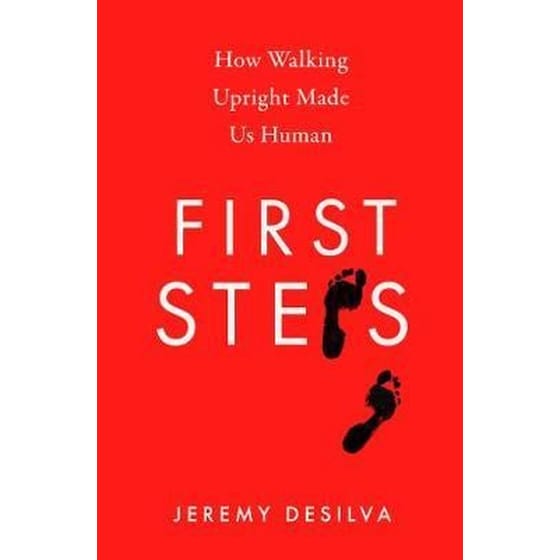 First Steps: How Walking Upright Made Us Human image 0