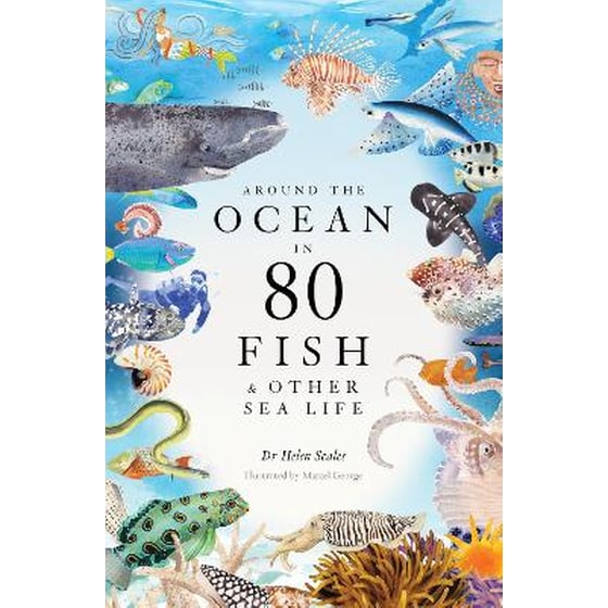 Around the Ocean in 80 Fish and other Sea Life image 0