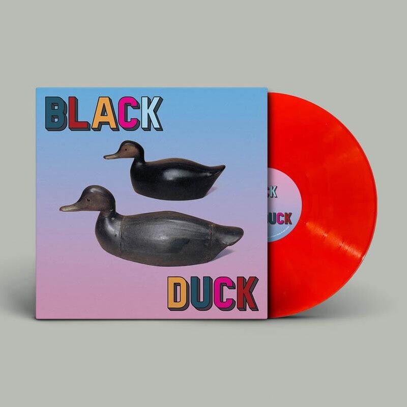 Black Duck (Orange)