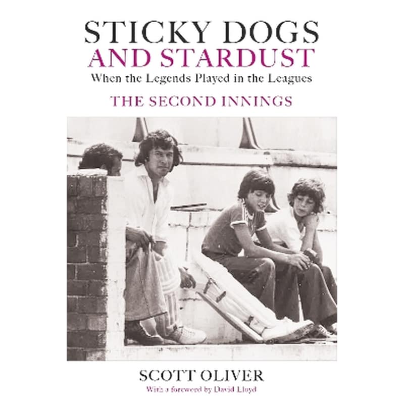 Sticky Dogs and Stardust Volume 2