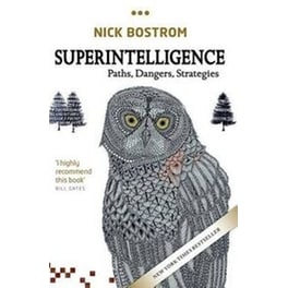 Superintelligence