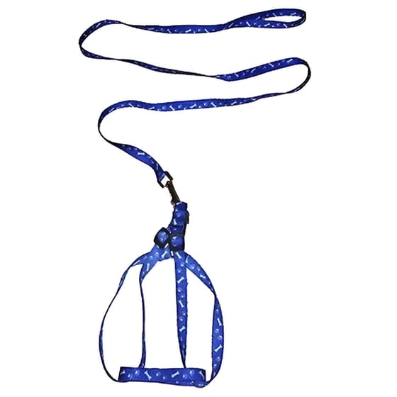 Λουράκι με Σαμαράκι OEM 2.5 m Για Σκύλο - Μπλε image 0