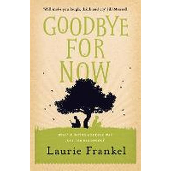 Goodbye For Now image 0
