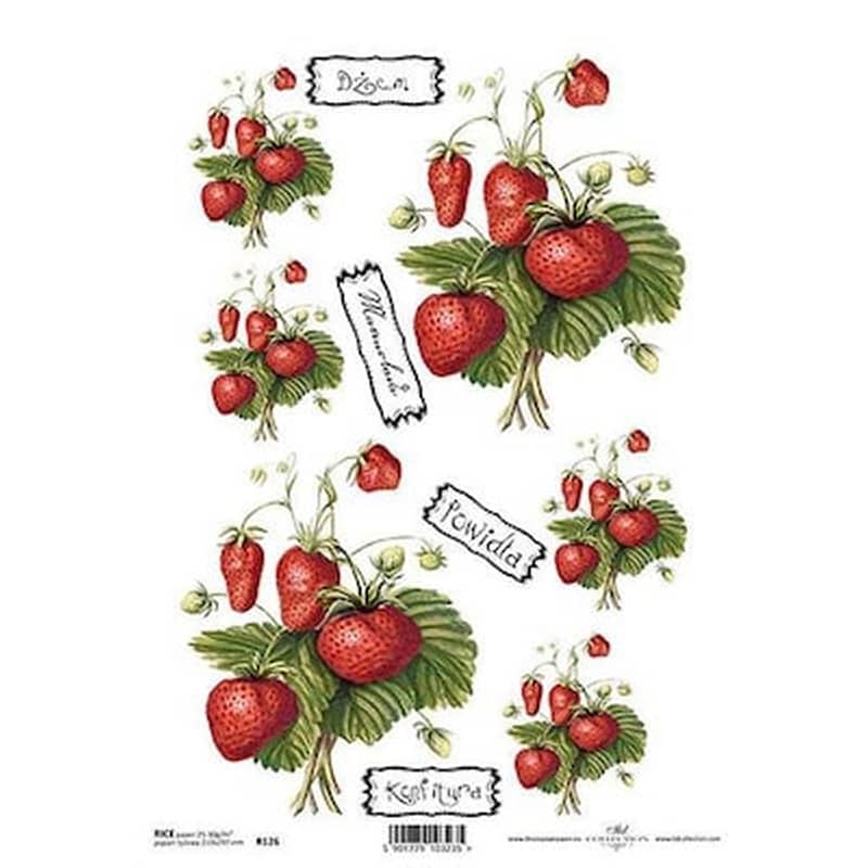 ITD COLLECTION T.JANKOWSKI, W. Ριζόχαρτο strawberries 21x29εκ. (itd-r126)