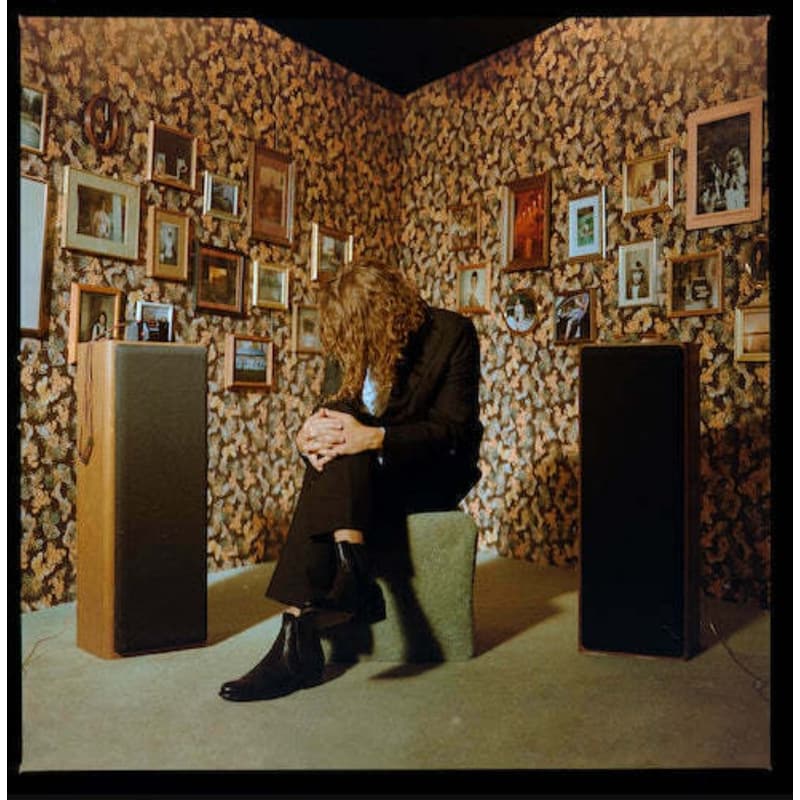 This Is A Photograph (LP)