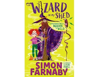 The Wizard In My Shed : The Misadventures of Merdyn the Wild image 0