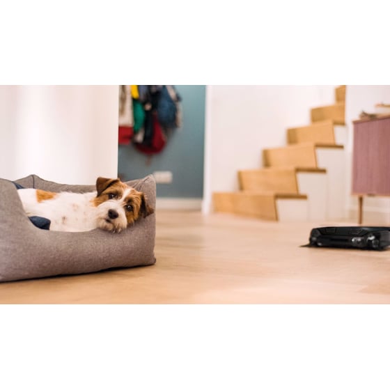 MIELE SPQL Scout RX3 Σκούπα Ρομπότ με Χαρτογράφηση Χώρου image 6