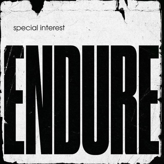 Endure image 1