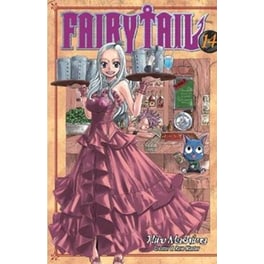 Fairy Tail, Vol. 14