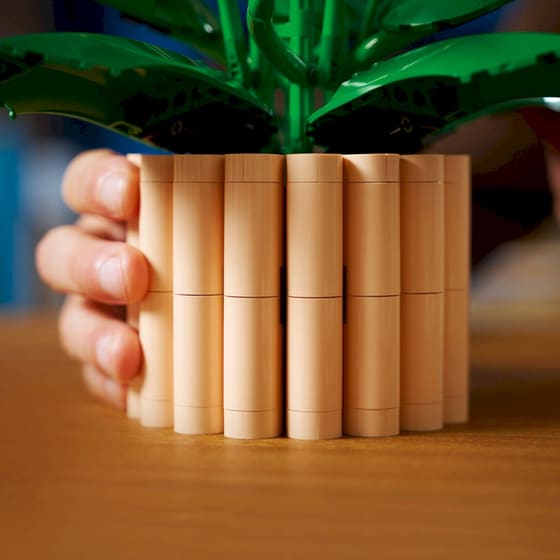 LEGO® Botanicals Σπαθίφυλλο (11504) image 3