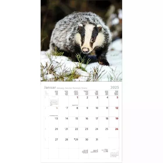 Ημερολόγιο Τοίχου 2025 Tiere des Waldes image 1