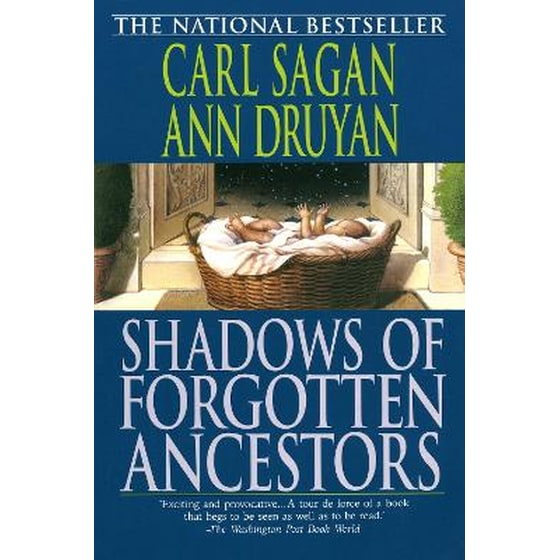 Shadows of Forgotten Ancestors image 0