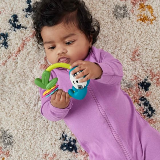 Fisher-Price Παιχνίδια Δραστηριοτήτων Ζωάκια, Κουδουνίστρες και Παιχνίδια Οδοντοφυΐας για Μωρά (Mattel) image 8