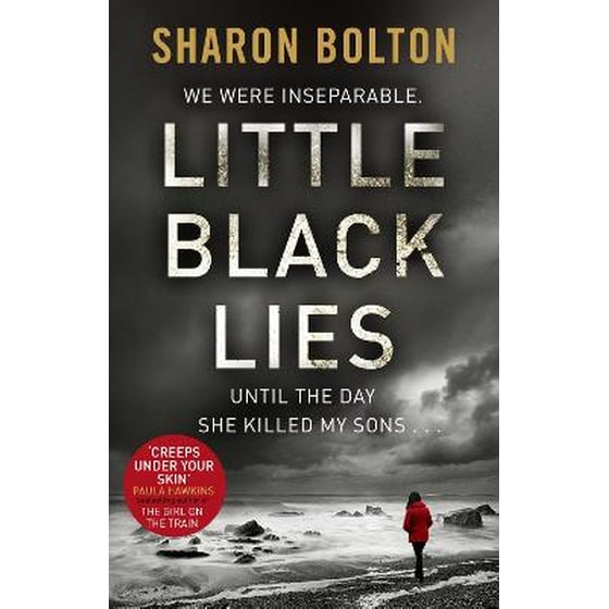 Little Black Lies image 0
