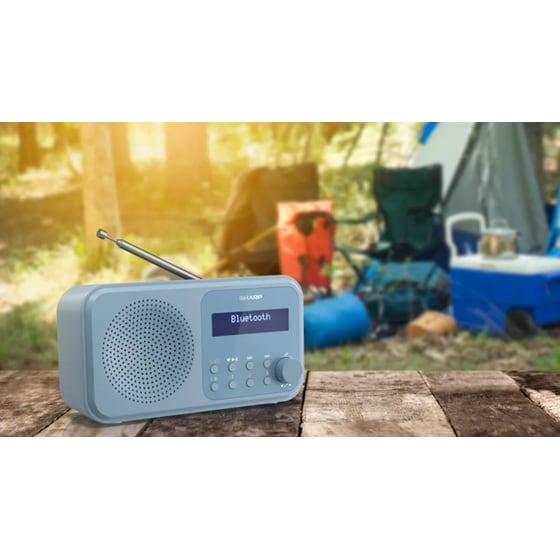 Φορητό ραδιόφωνο Sharp Tokyo DR-P420-Blue image 9