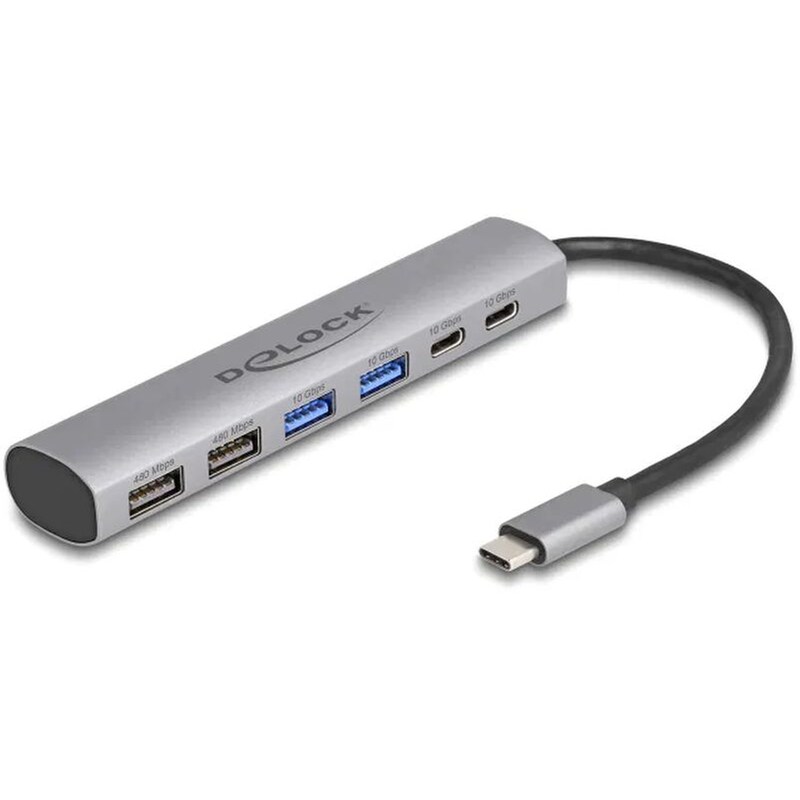 Delock 64232 USB Hub 3.1 με 6 θύρες - Γκρι