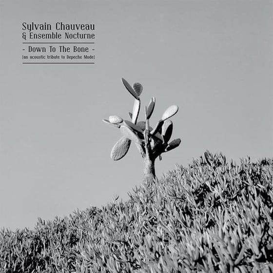 Down To The Bone (An Acoustic Tribute To Depeche M image 0