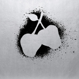 Silver Apples (LP)