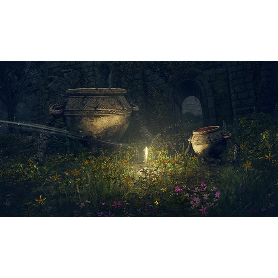 Elden Ring - PS5 image 21