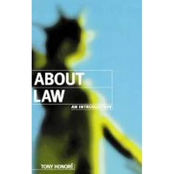 About Law: An Introduction image 0