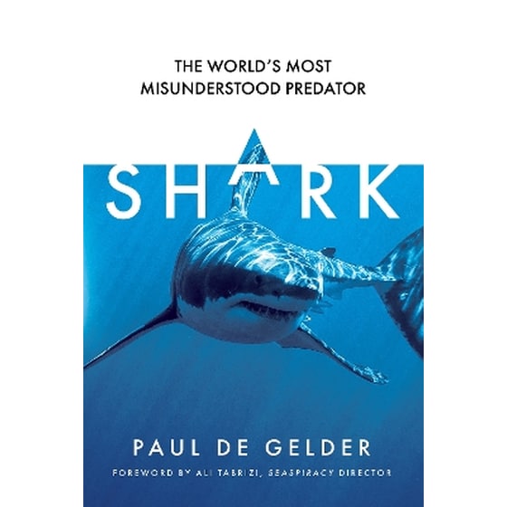 Shark image 0