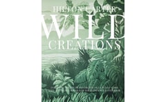 Wild Creations