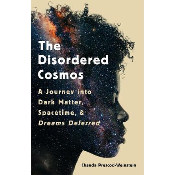 The Disordered Cosmos image 0