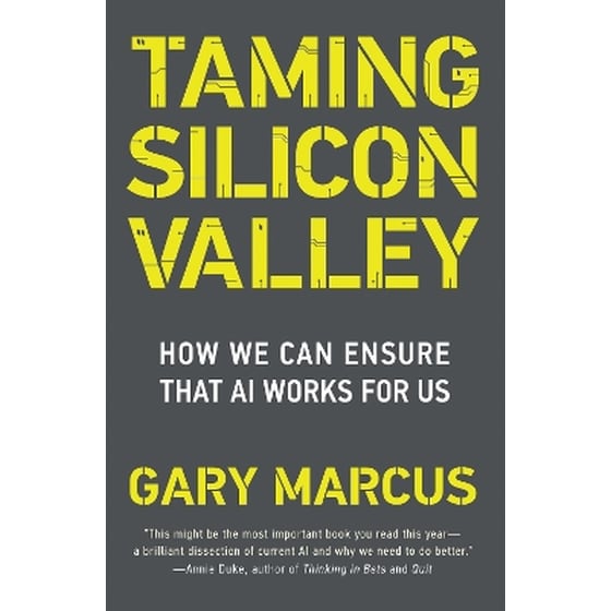 Taming Silicon Valley image 0