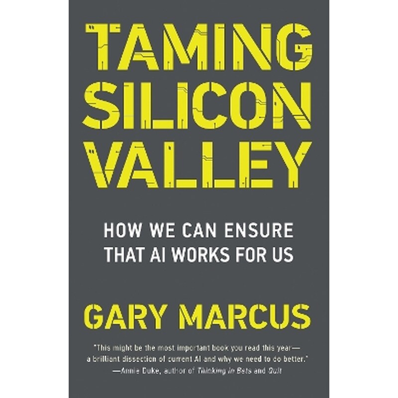 Taming Silicon Valley
