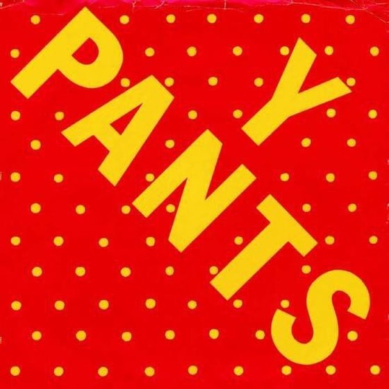 Y Pants image 0